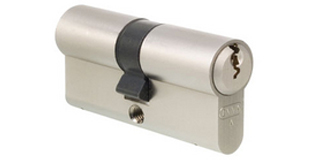 EPS Registered 6 Pin Euro Profile Cylinder Locks