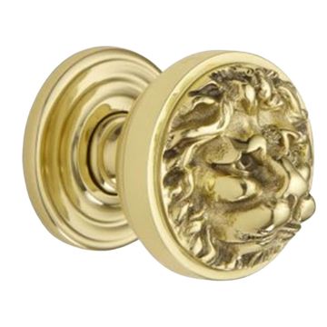 Lion's Head Centre Door Knob 76 mm Polished Brass Lacquered