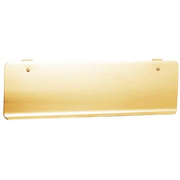 Hinged Letterplate Inner Tidy 305 x 83 mm Polished Brass Lacquered