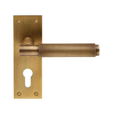 Criterion DL05 Lever Door Handle on Backplate Euro Profile (Antique Brass Lacquered)