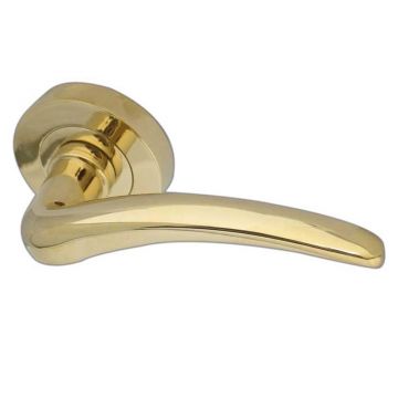 Gull Lever on Round Rose Stainless Polished Brass