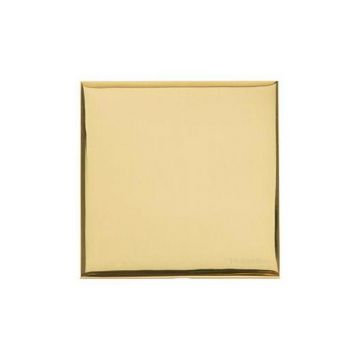 Winchester Single Blank Plate Square Concealed Fixing White Trime -Polished Brass Lacquered