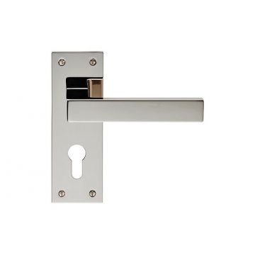 Criterion DL01 Lever Door Handle on Backplate Euro Profile 