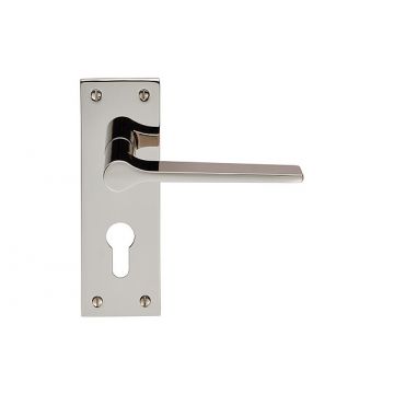 Criterion DL02 Lever Door Handle on Backplate Euro Profile 