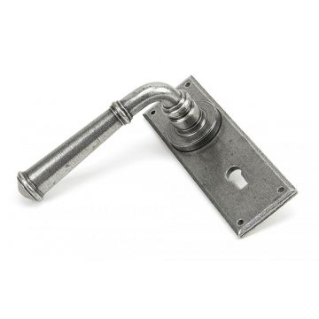 Albion Regency Lever Lock on Backplate Pewter Patina Set Pewter Patina Finish