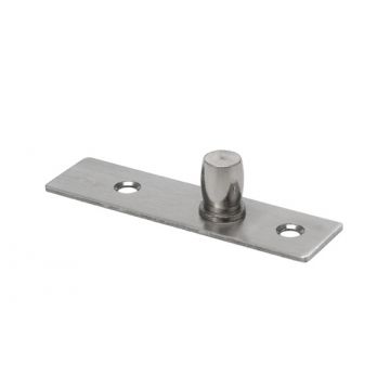 Top Pivot Plate Satin Stainless Steel