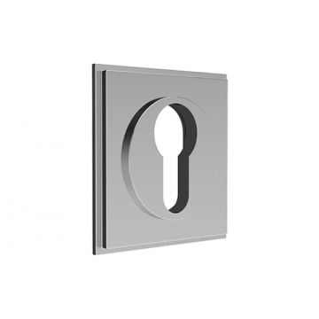 Euro Profile Escutcheon Concealed Fix 55mm Polished Brass Lacquered