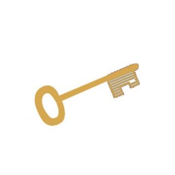 Additional Standard Lock Lever Key